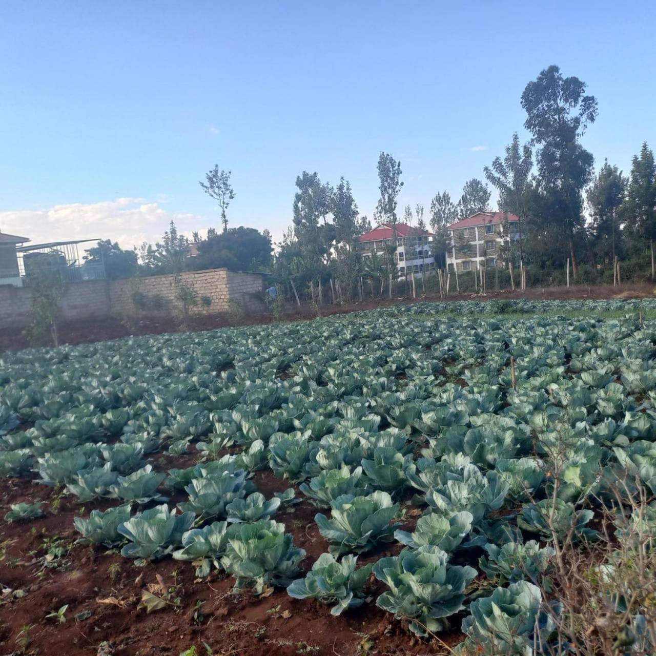 Gatimene Gardens Hotel Meru Kültér fotó